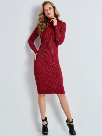 Turtleneck Plain Pullover Women's Sweater Dress